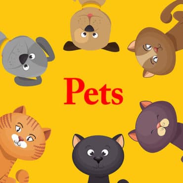 Pets copy