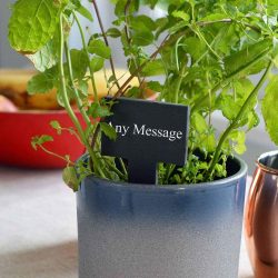 Personalised Engraved Square Head Slate Plant and Herb Tag - Set of 6