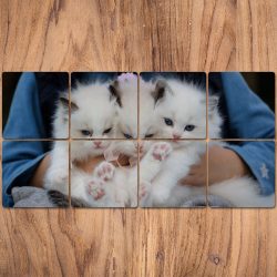 Printed Set of 8 MDF Photo Former Coasters