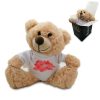 Soft Light Brown Teddy Bear Toy with T-shirt with Name in Cloud Design