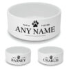 Personalised Dog Bowl with Taste Tester Design