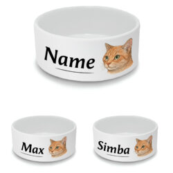 Personalised Small Cat Bowl with Ginger Cat Design